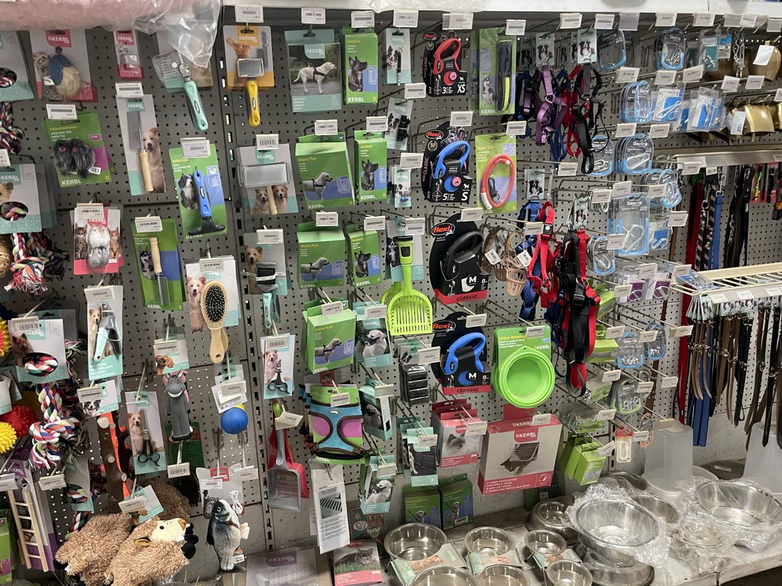 Le mur d'accessoires pour animaux : laisses, jouets, gamelles